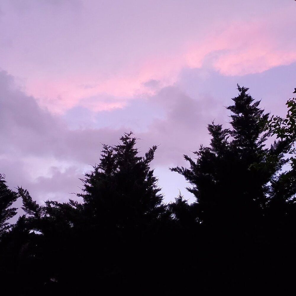 Meet your Posher, Abbie